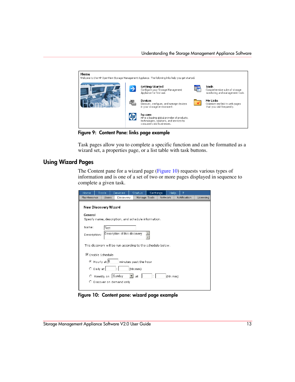 T pane, Figure 9 | HP OpenView Storage Management Appliance and Software User Manual | Page 29 / 146