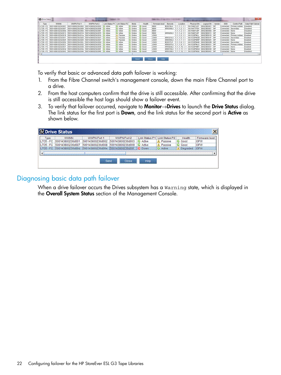 Diagnosing basic data path failover | HP StoreEver MSL6480 Tape Library User Manual | Page 22 / 70