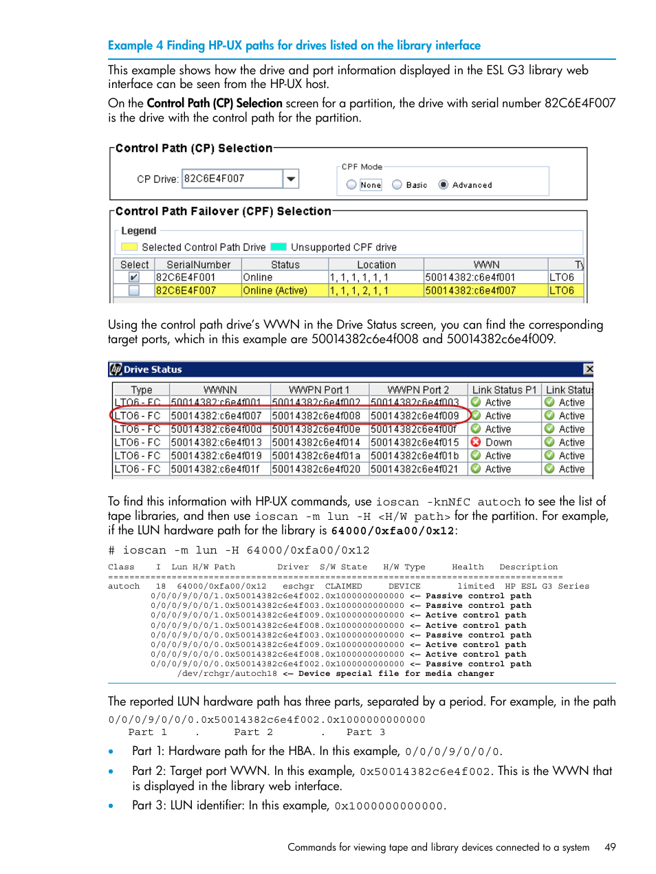 HP StoreEver MSL6480 Tape Library User Manual | Page 49 / 70
