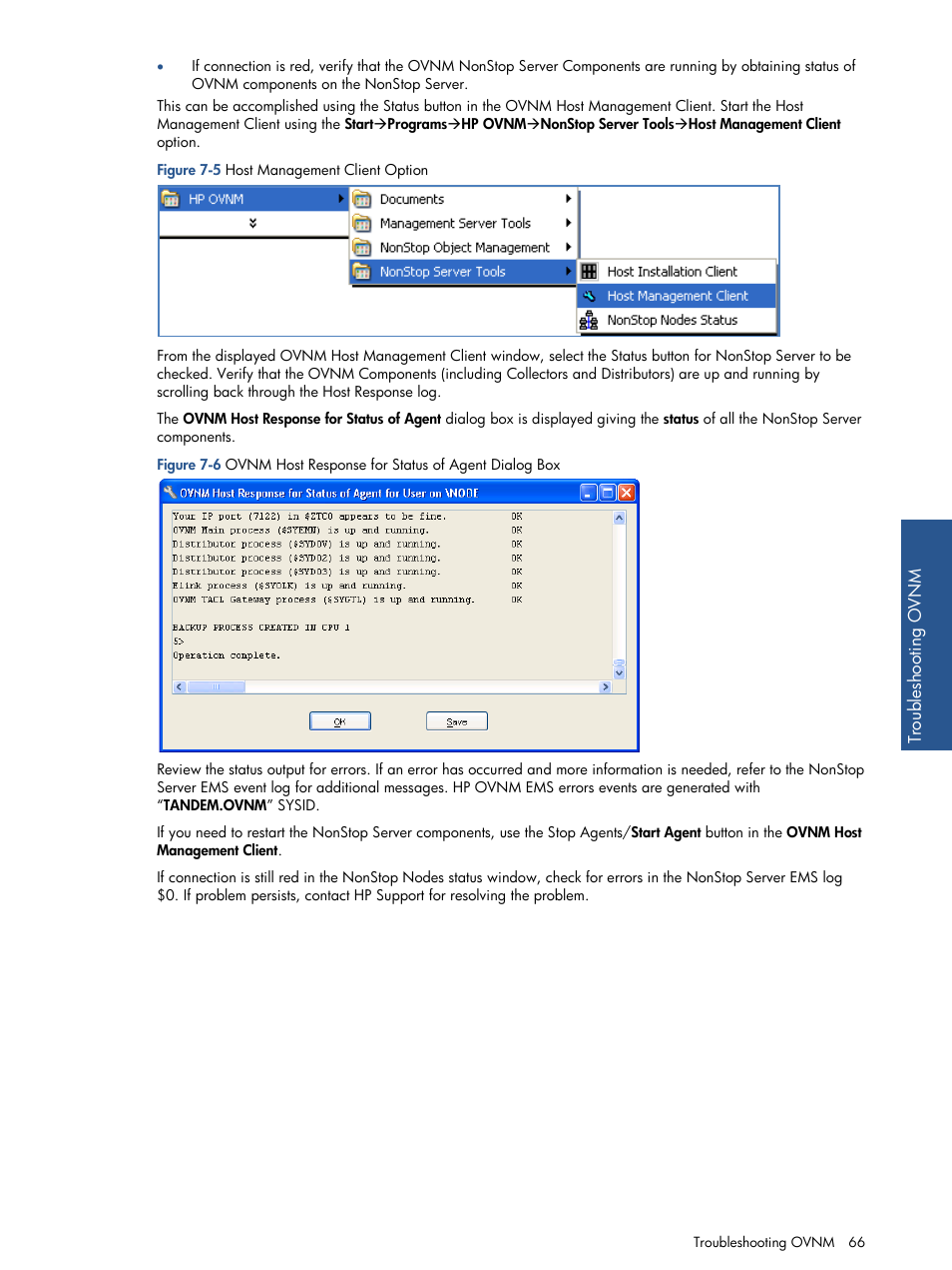 Figure 7-5 host management client option | HP NonStop G-Series User Manual | Page 66 / 134