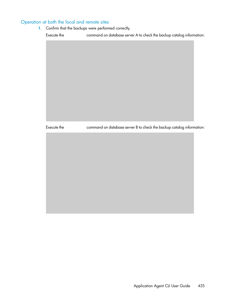 Operation at both the local and remote sites, Application agent cli user guide 435 | HP XP Command View Advanced Edition Software User Manual | Page 435 / 574