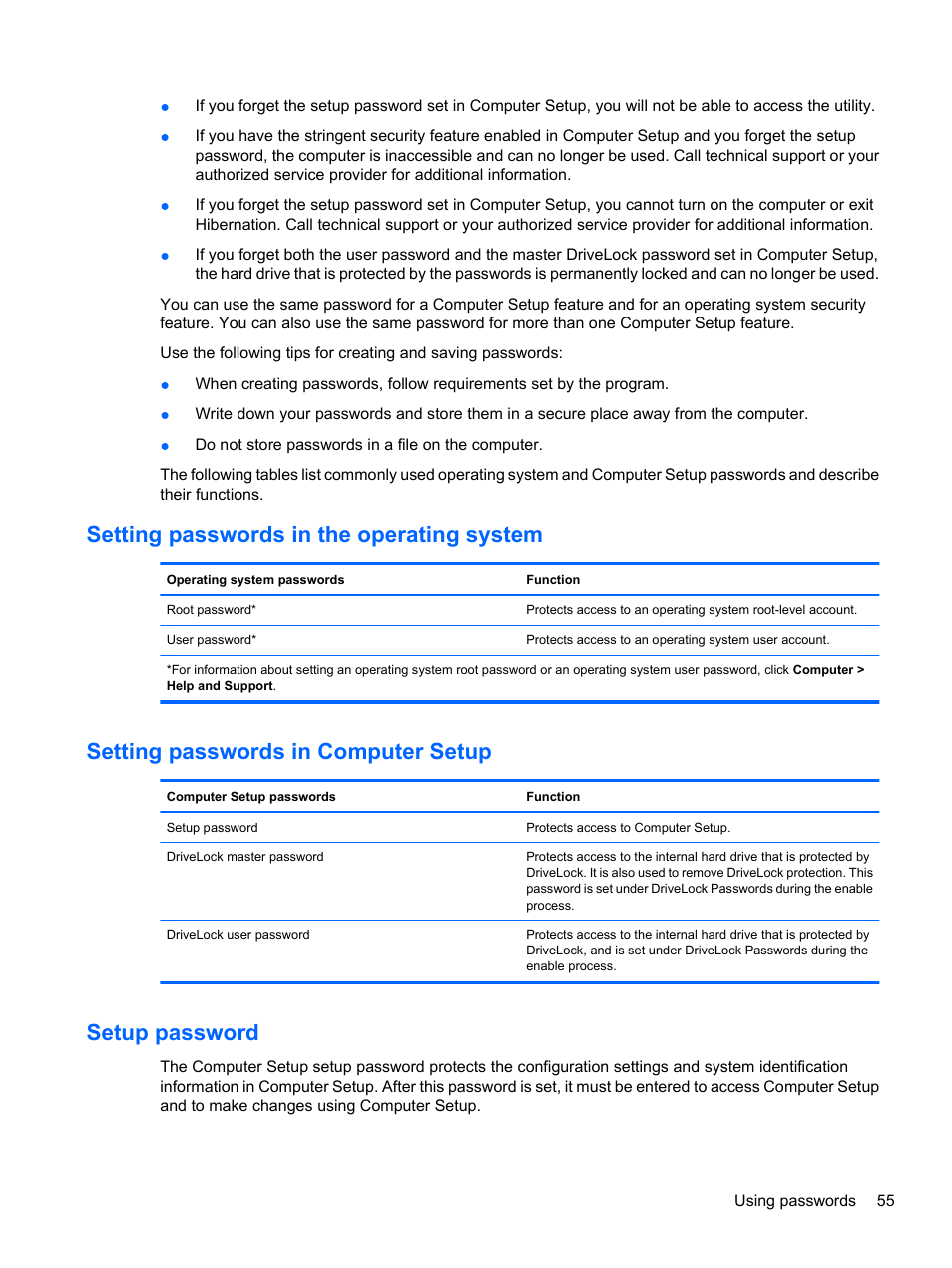 Setting passwords in the operating system, Setting passwords in computer setup, Setup password | HP ProBook 5220m Notebook PC User Manual | Page 63 / 77