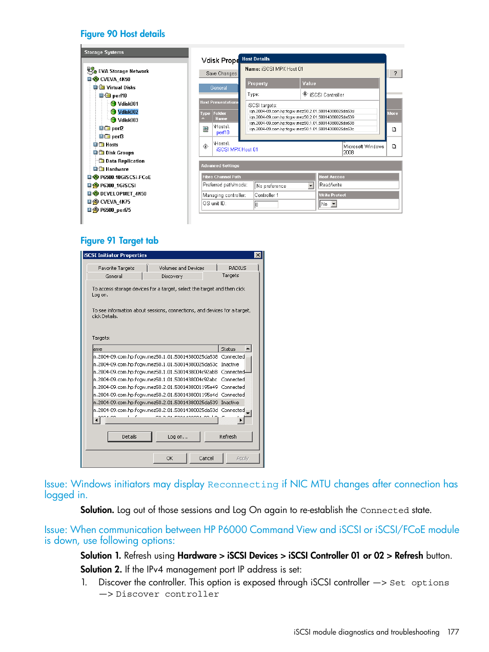 HP EVA P6000 Storage User Manual | Page 177 / 316