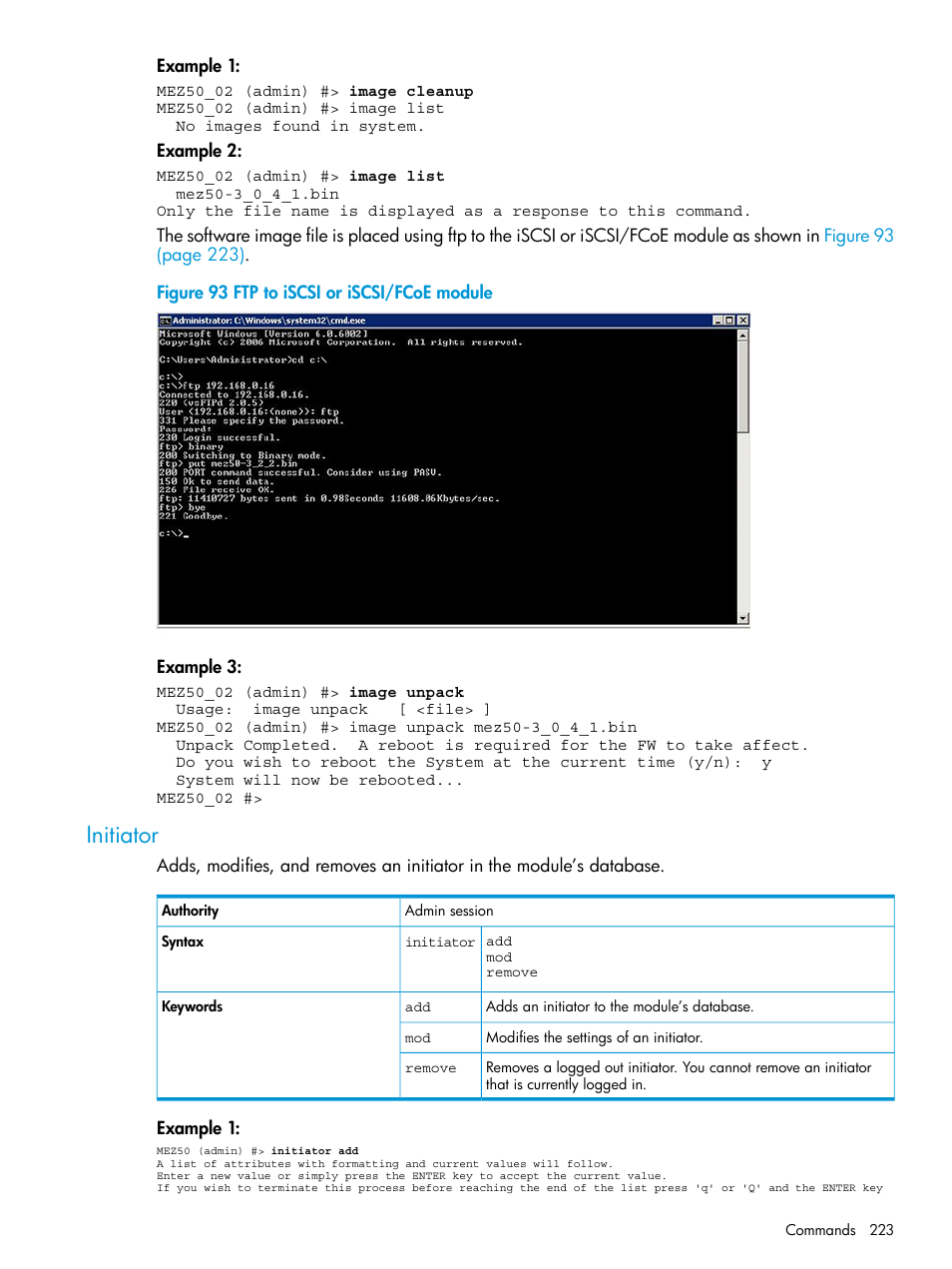 Initiator | HP EVA P6000 Storage User Manual | Page 223 / 316