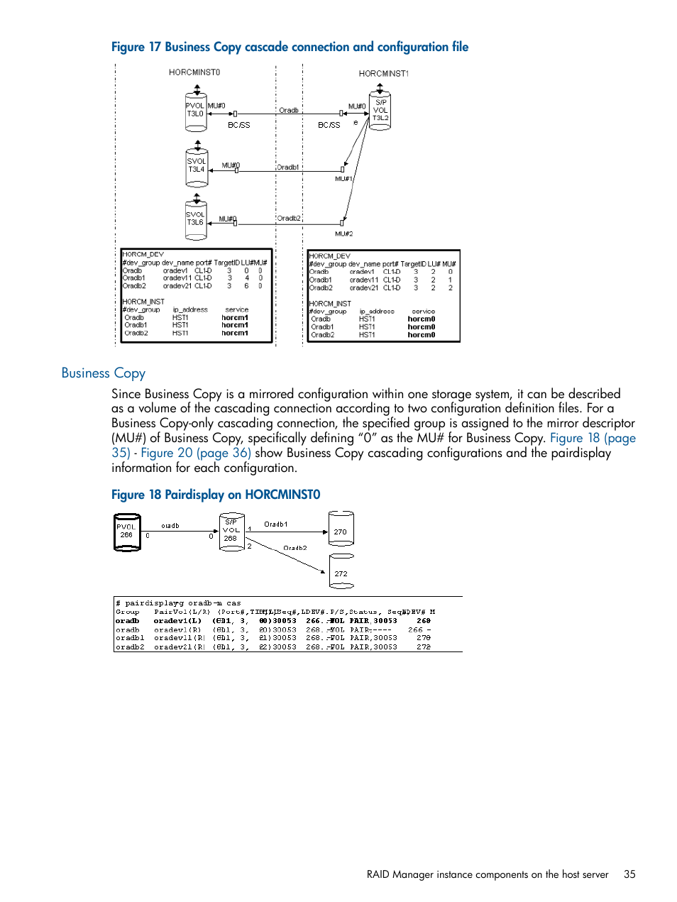 Business copy | HP XP P9500 Storage User Manual | Page 35 / 254