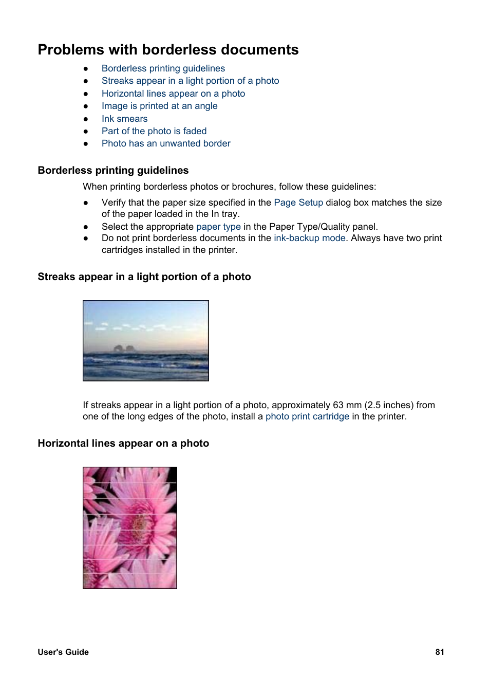 Problems with borderless documents, Borderless printing guidelines, Streaks appear in a light portion of a photo | Horizontal lines appear on a photo | HP Deskjet 5740 Color Inkjet Printer User Manual | Page 83 / 102