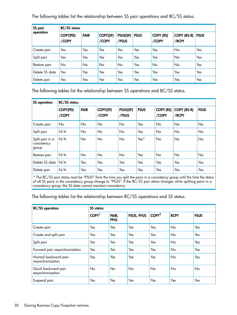 HP XP RAID Manager Software User Manual | Page 30 / 129