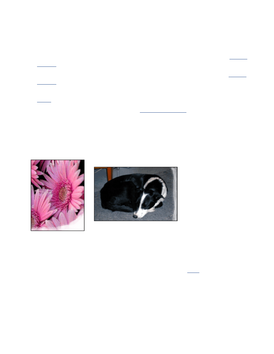 Borderless printing problems, Guidelines, Part of the photograph is faded | HP Deskjet 5145 Color Inkjet Printer User Manual | Page 71 / 173