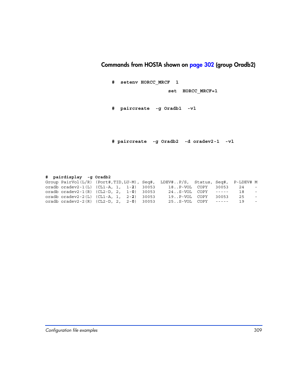 HP XP RAID Manager Software User Manual | Page 309 / 416