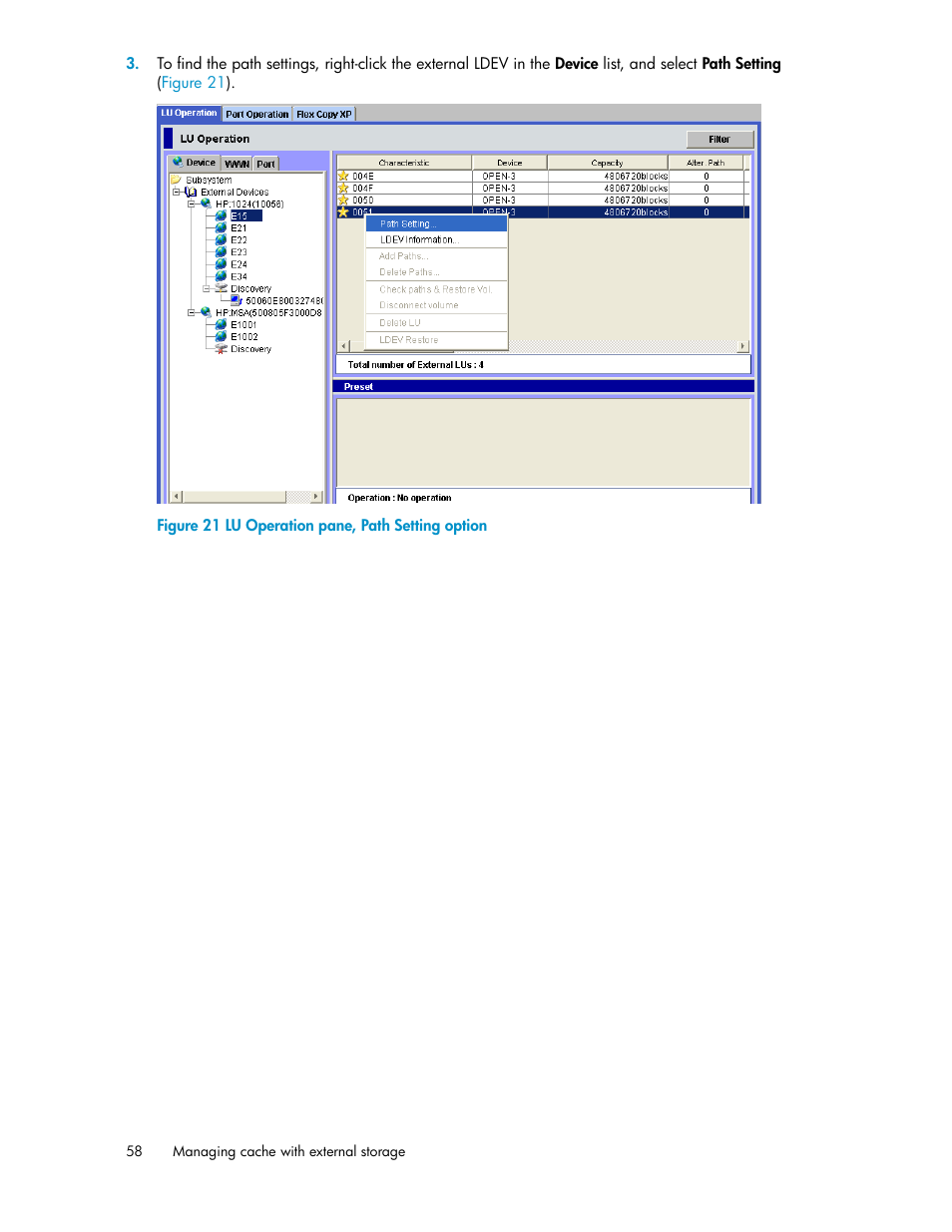 Lu operation pane, path setting option | HP StorageWorks XP Remote Web Console Software User Manual | Page 58 / 192