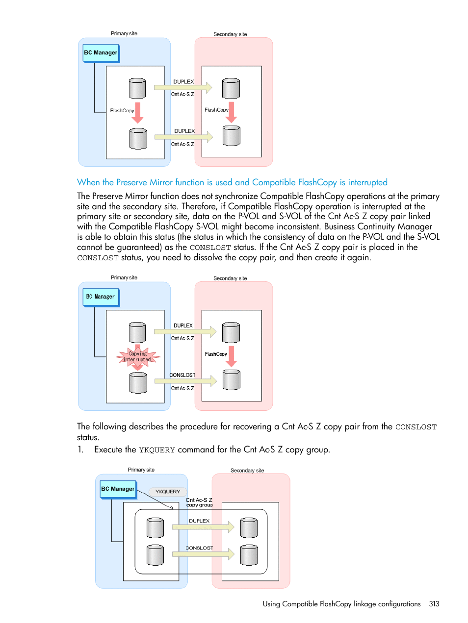 HP XP P9500 Storage User Manual | Page 313 / 701