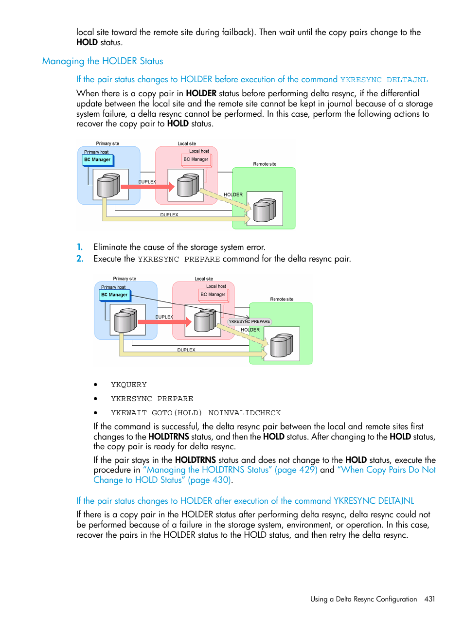 Managing the holder status | HP XP P9500 Storage User Manual | Page 431 / 701