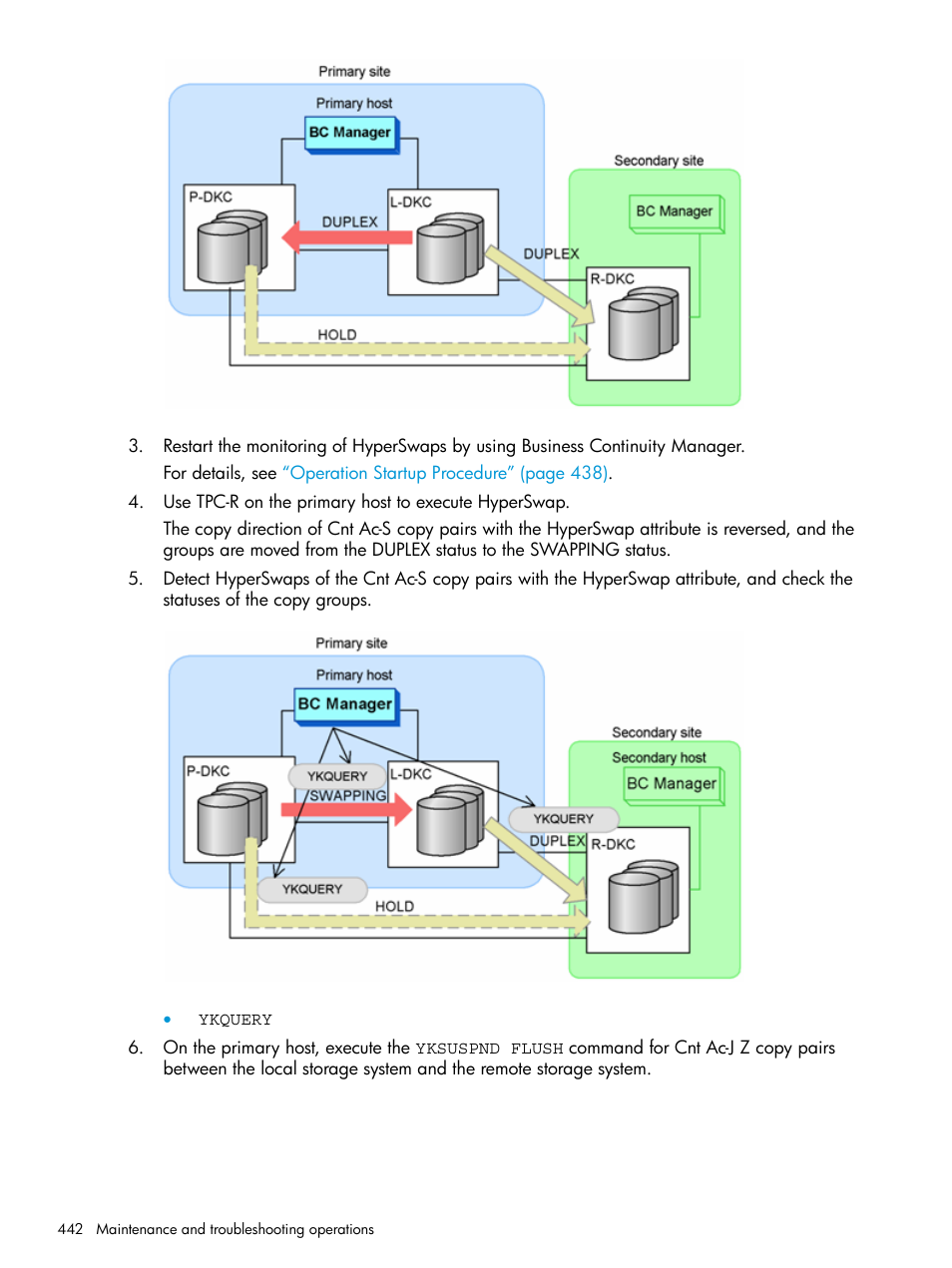 HP XP P9500 Storage User Manual | Page 442 / 701