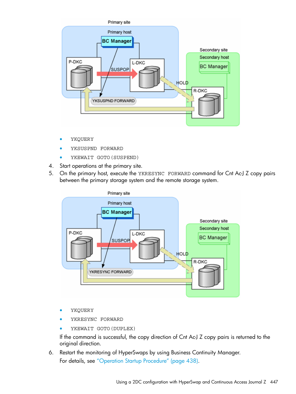 HP XP P9500 Storage User Manual | Page 447 / 701