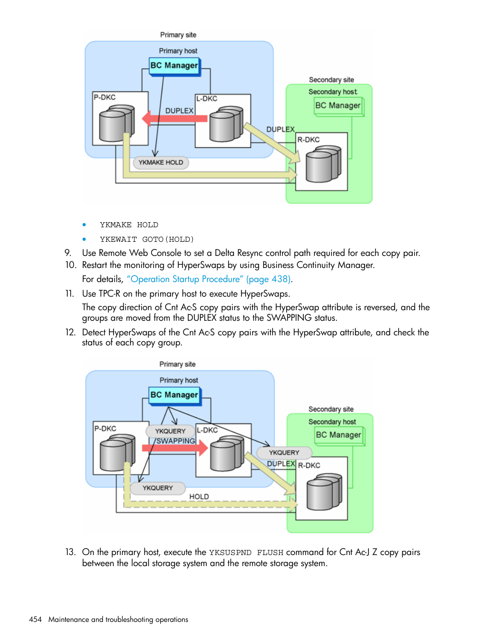 HP XP P9500 Storage User Manual | Page 454 / 701