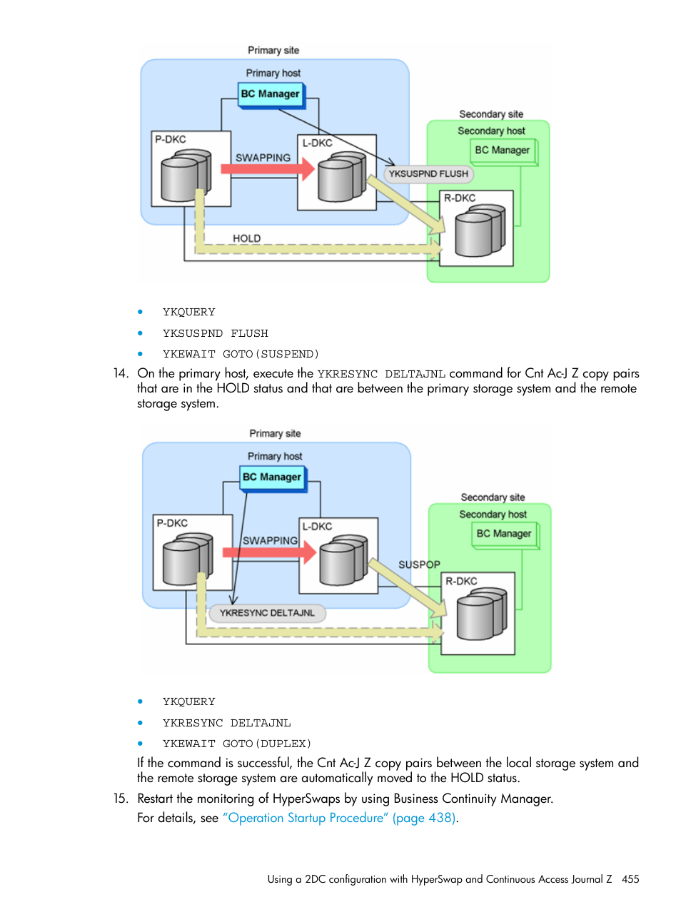 HP XP P9500 Storage User Manual | Page 455 / 701