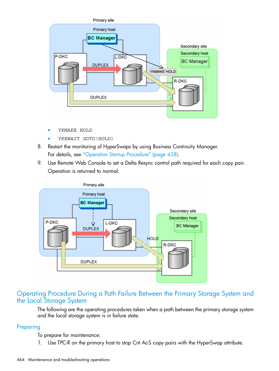 Preparing, Operating procedure during a path failure, Between the primary | Storage system and | HP XP P9500 Storage User Manual | Page 464 / 701