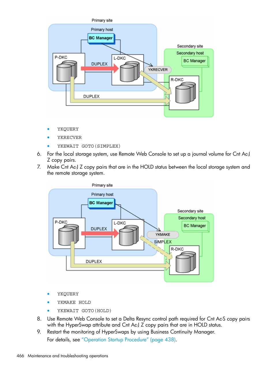 HP XP P9500 Storage User Manual | Page 466 / 701