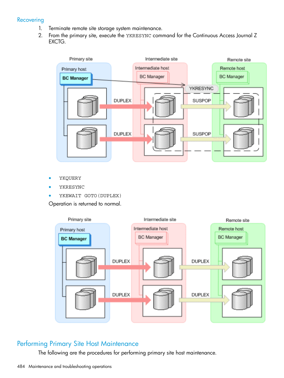 Recovering, Performing primary site host maintenance, Performing primary site host | HP XP P9500 Storage User Manual | Page 484 / 701