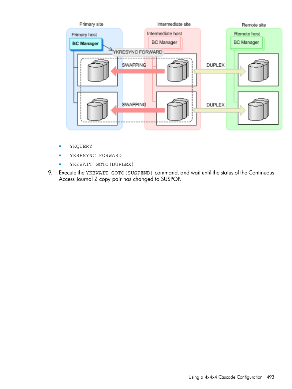 HP XP P9500 Storage User Manual | Page 493 / 701