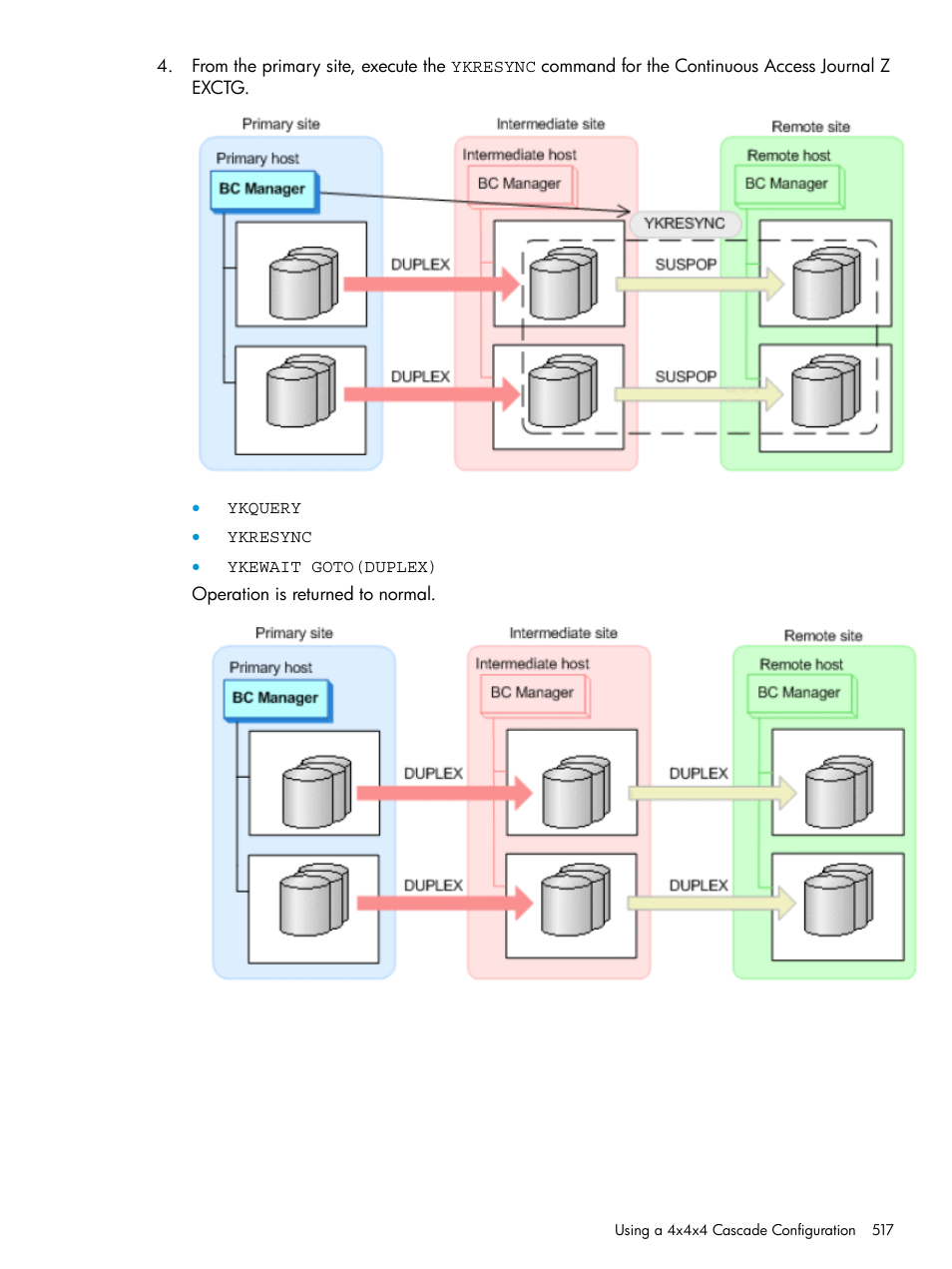 HP XP P9500 Storage User Manual | Page 517 / 701