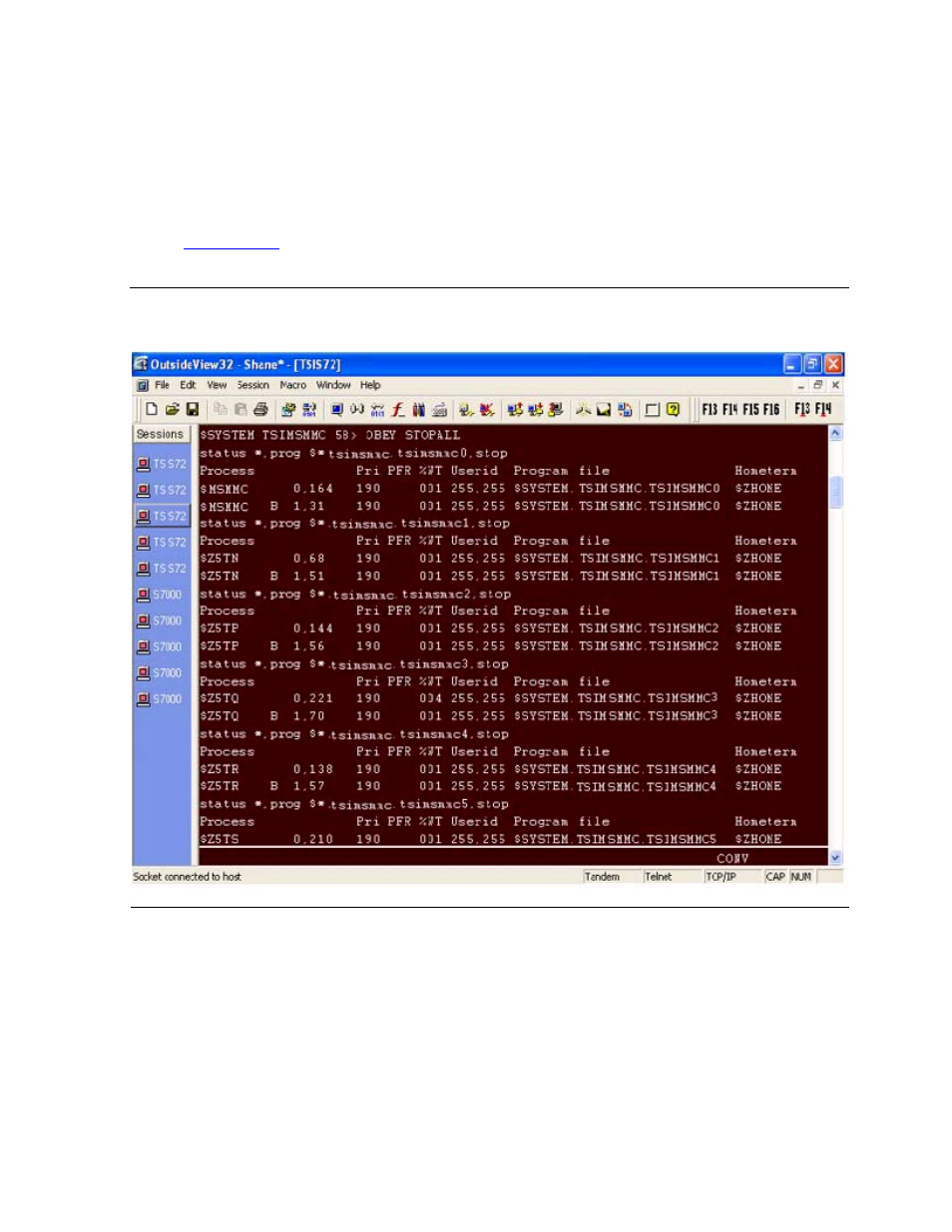 Stopping the processes on the client, Figure 4-10, Stopall command - client | HP NonStop G-Series User Manual | Page 74 / 216