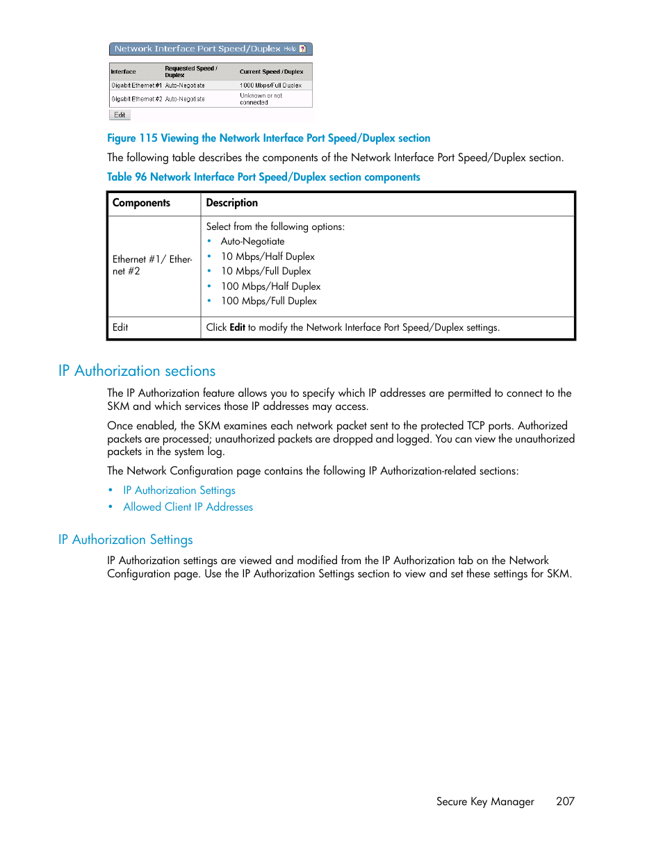 Ip authorization sections, Ip authorization settings | HP Secure Key Manager User Manual | Page 207 / 352