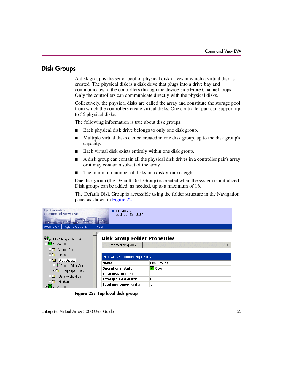 Disk groups, 22 top level disk group | HP 3000 Enterprise Virtual Array User Manual | Page 65 / 244