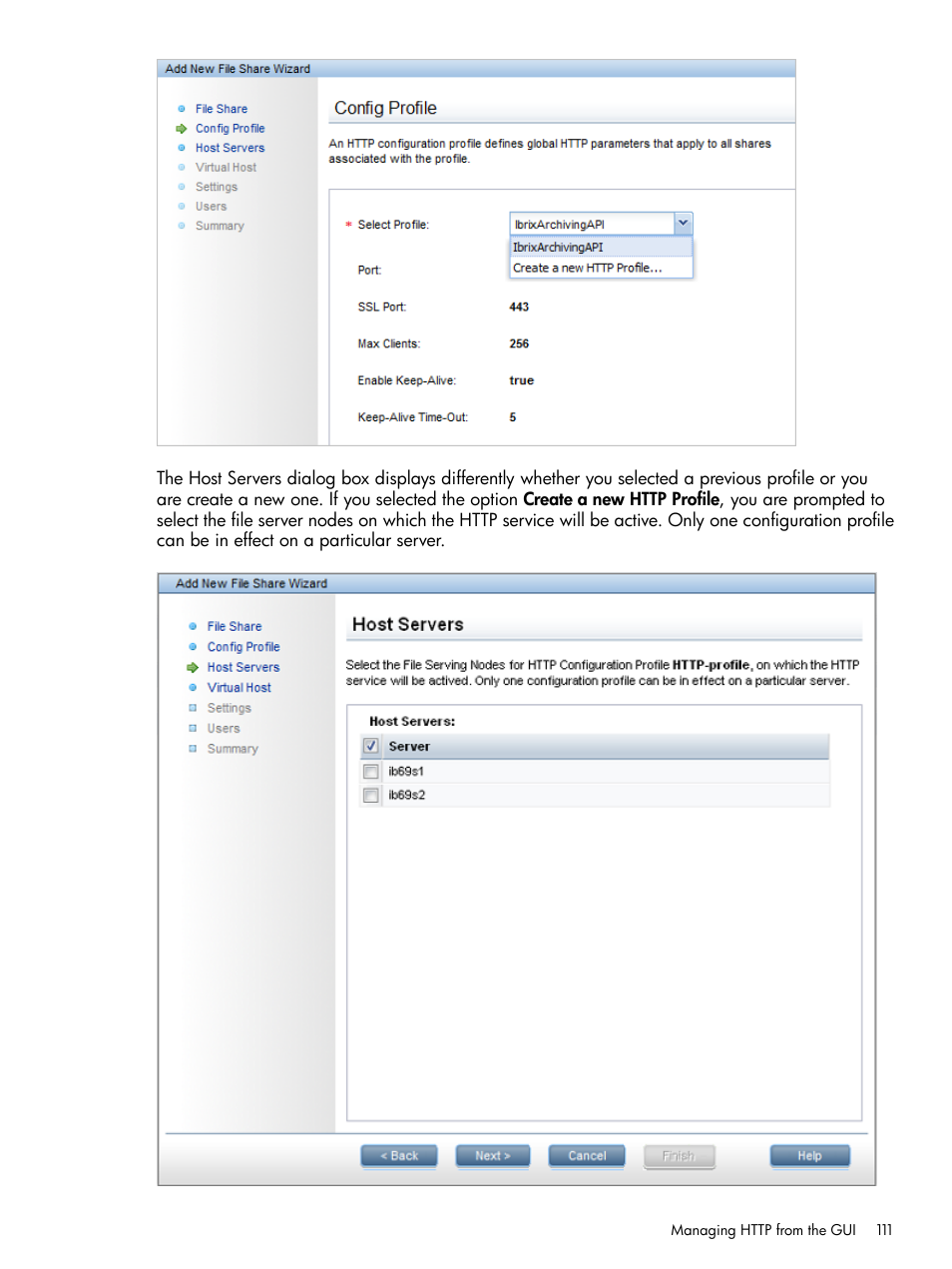 HP StoreAll Storage User Manual | Page 111 / 254