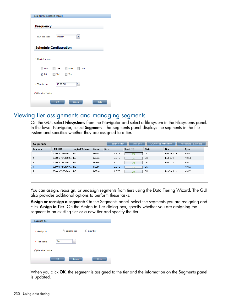 Viewing tier assignments and managing segments | HP StoreAll Storage User Manual | Page 230 / 254