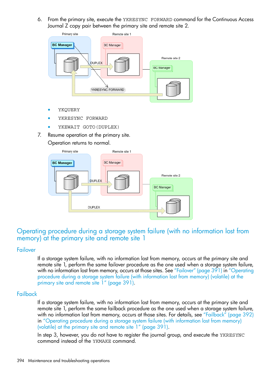 Failover, Failback, Failover failback | Operating procedure during a storage system, Failure (with no information | HP XP Racks User Manual | Page 394 / 764