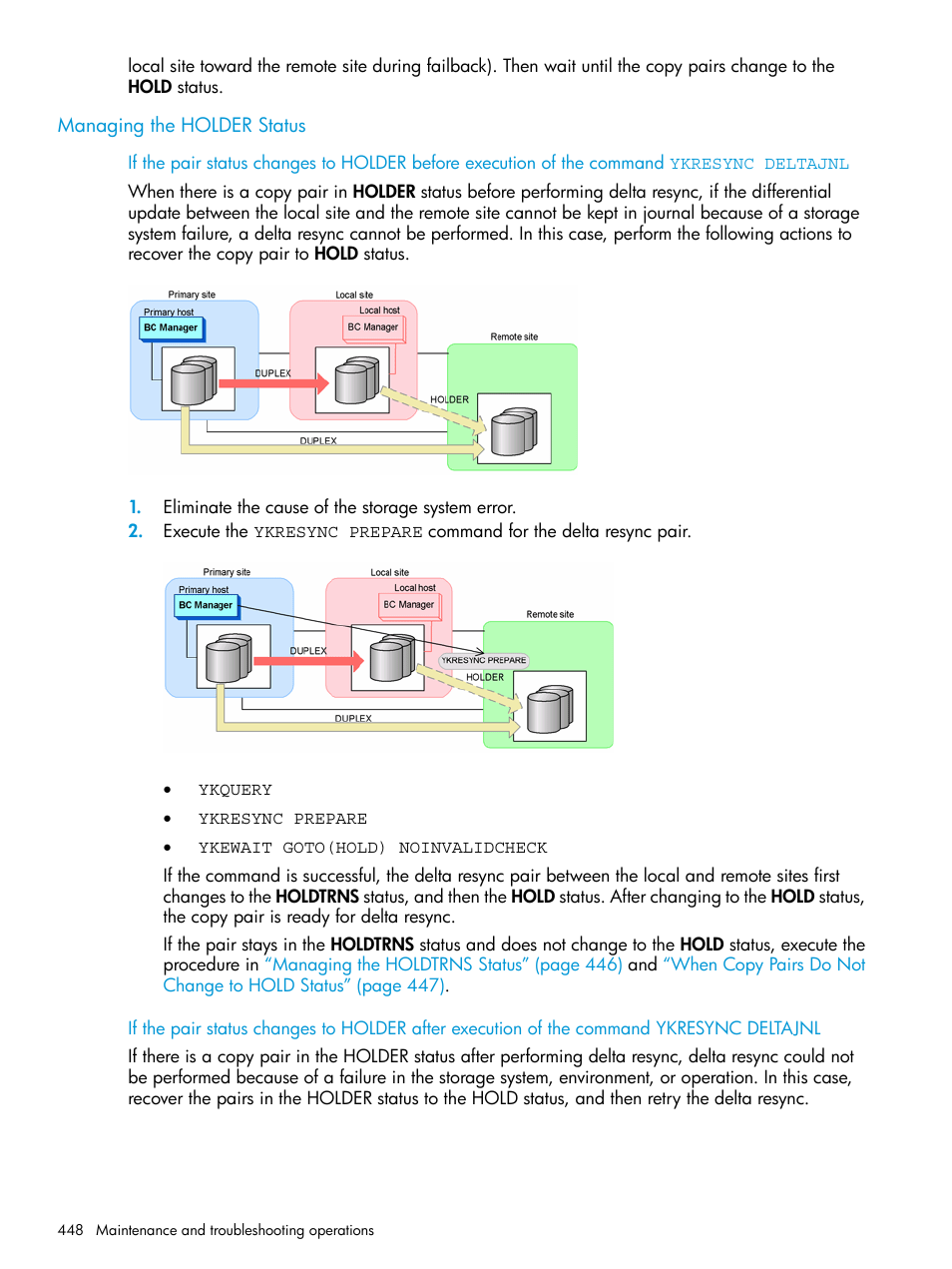 Managing the holder status | HP XP Racks User Manual | Page 448 / 764