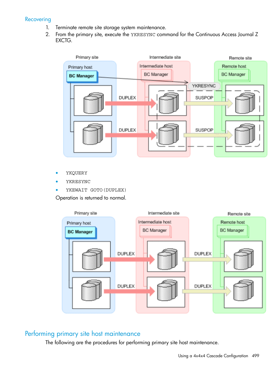 Recovering, Performing primary site host maintenance | HP XP Racks User Manual | Page 499 / 764