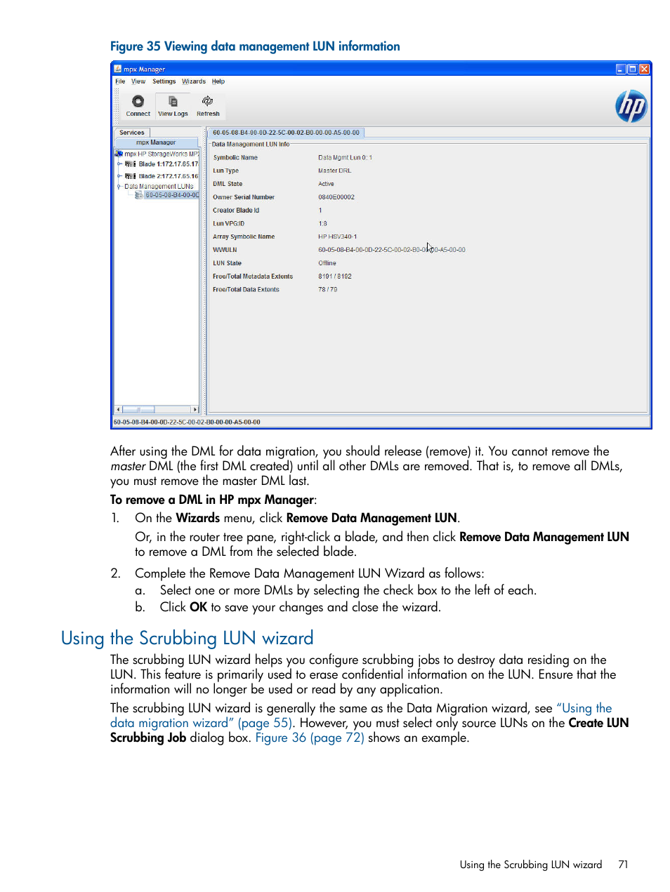 Using the scrubbing lun wizard | HP MPX200 Multifunction Router User Manual | Page 71 / 180