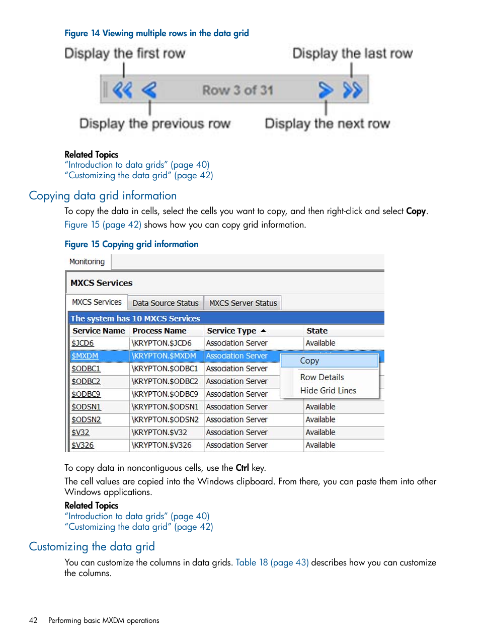 Copying data grid information, Customizing the data grid | HP Integrity NonStop J-Series User Manual | Page 42 / 110