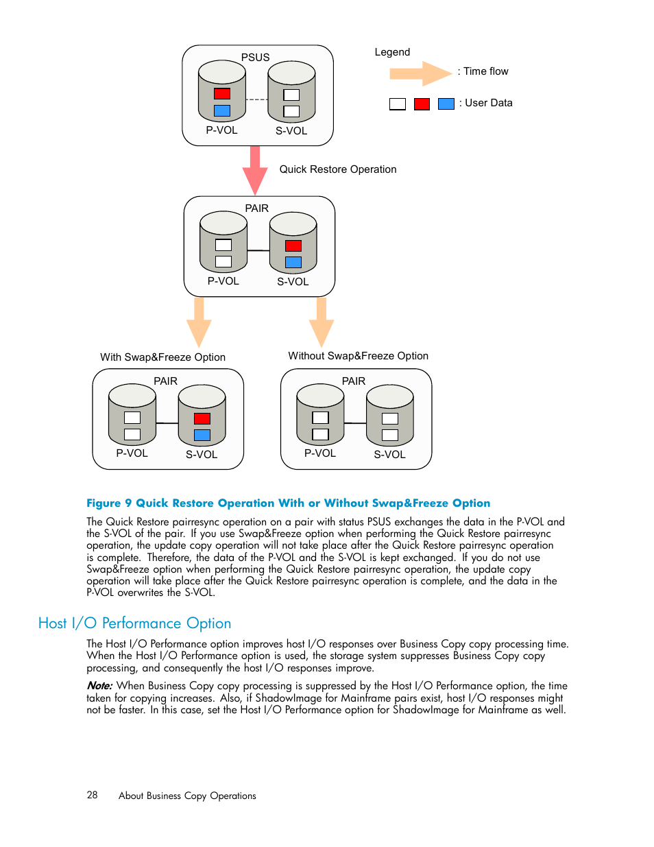 Host i/o performance option, Figure 9 | HP StorageWorks XP Remote Web Console Software User Manual | Page 28 / 96