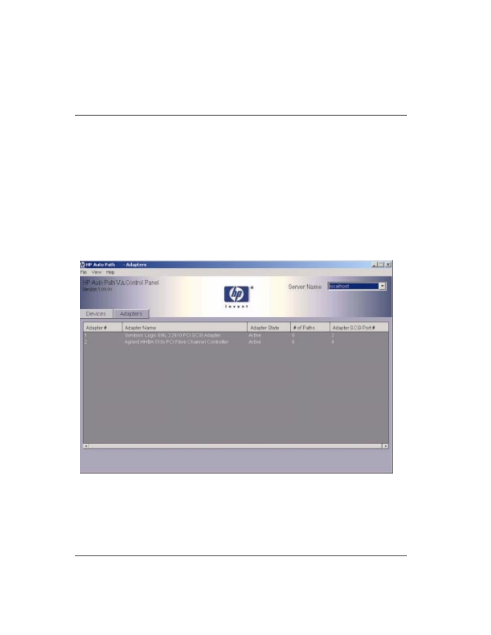 Auto path va adapters window | HP StorageWorks Auto Path VA Software User Manual | Page 25 / 36