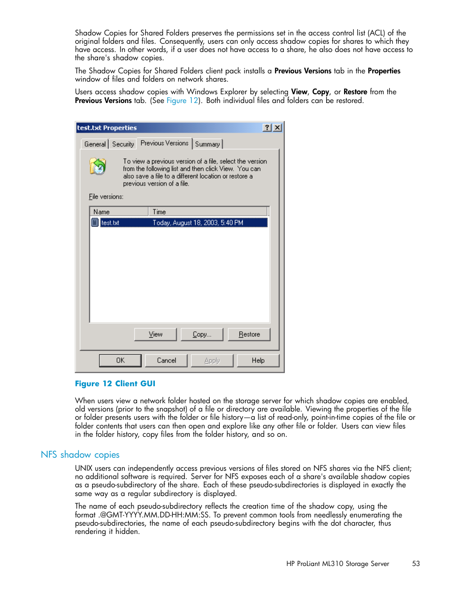 Nfs shadow copies, Client gui | HP ProLiant ML310 G3 Storage Server User Manual | Page 53 / 119