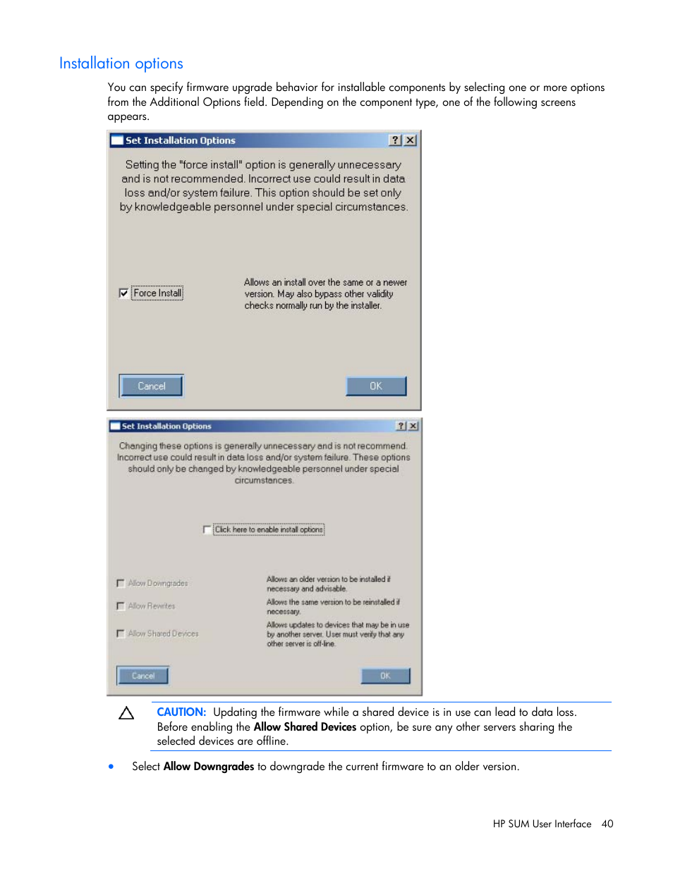 Installation options | HP ProLiant Support Pack User Manual | Page 40 / 120