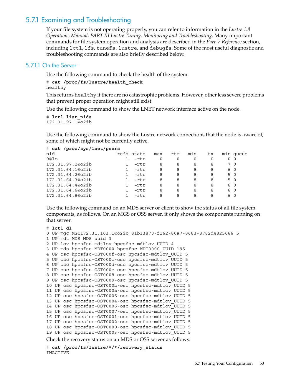1 examining and troubleshooting, 1 on the server | HP StorageWorks Scalable File Share User Manual | Page 53 / 80