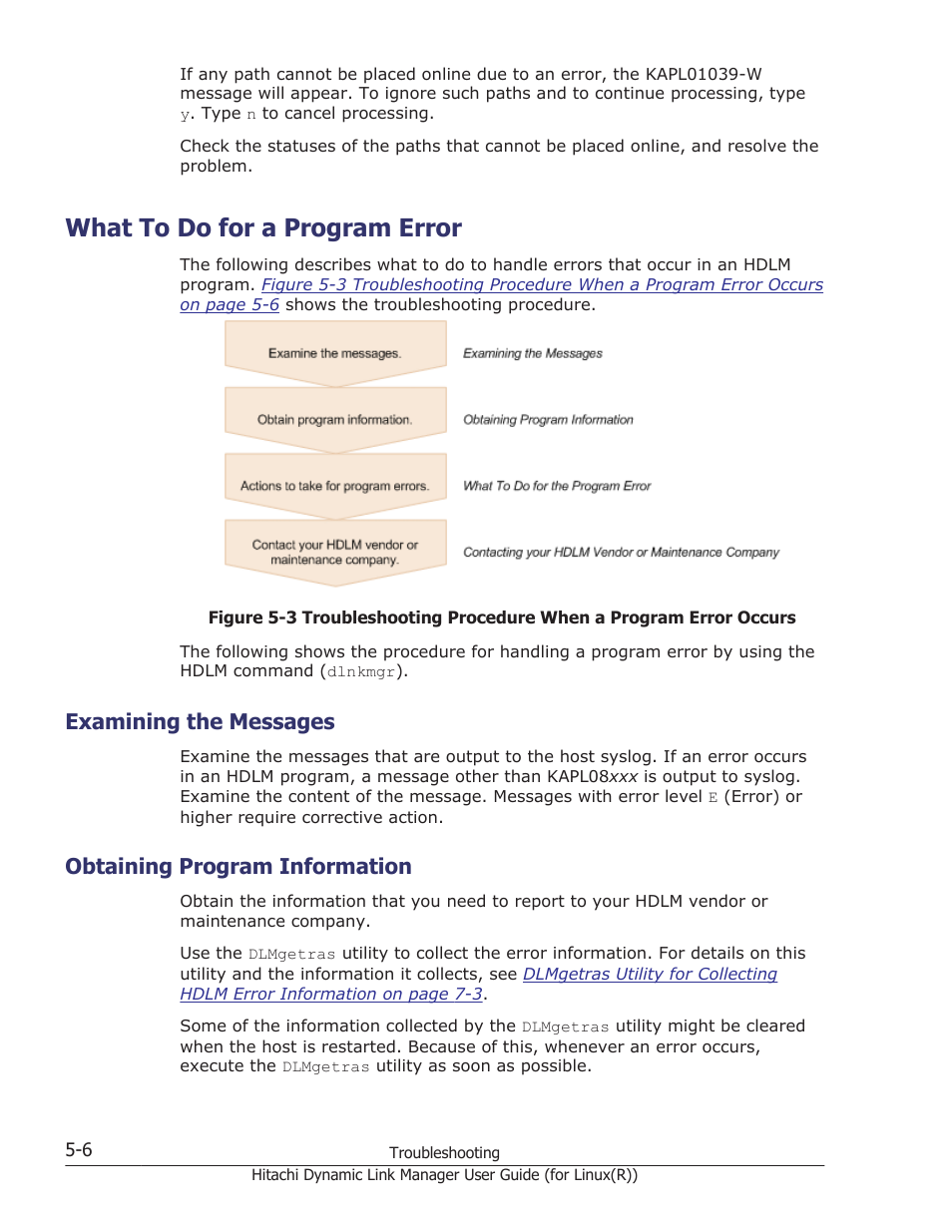 What to do for a program error, Examining the messages, Obtaining program information | What to do for a program error -6, Examining the messages -6, Obtaining program information -6, What to do for a program | HP XP P9500 Storage User Manual | Page 350 / 640