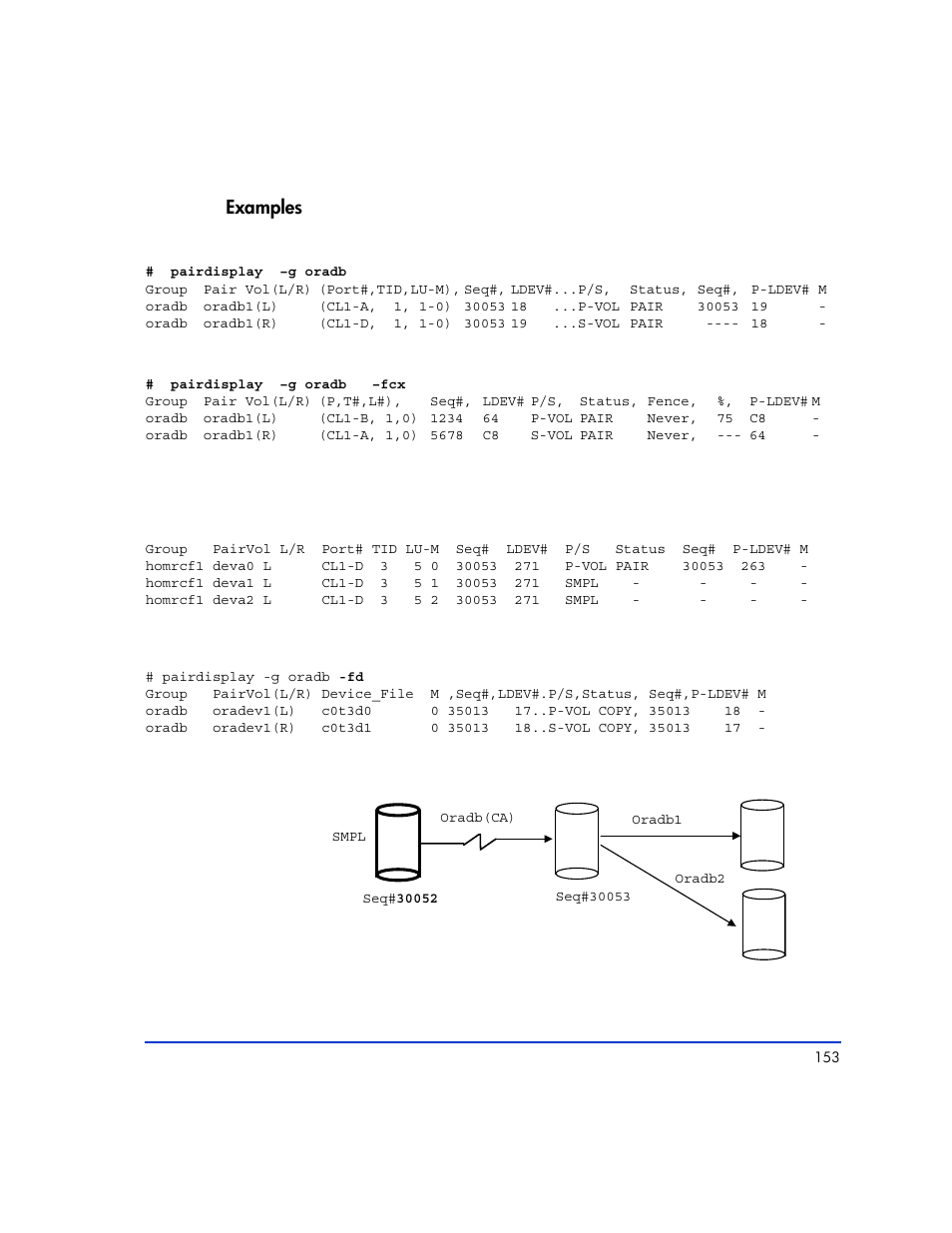 Examples | HP XP Continuous Access Software User Manual | Page 153 / 412