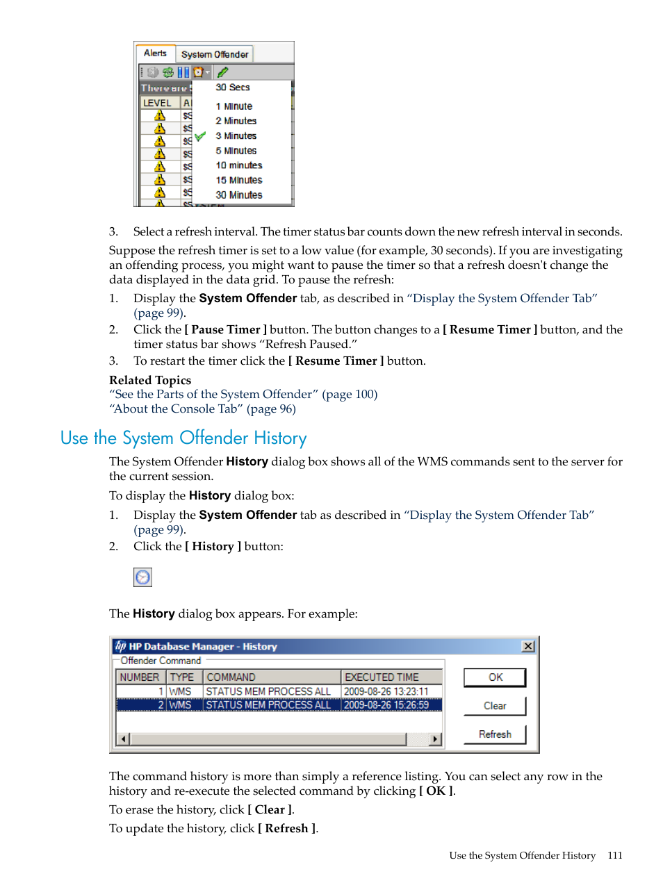 Use the system offender history | HP Neoview Release 2.4 Software User Manual | Page 111 / 132