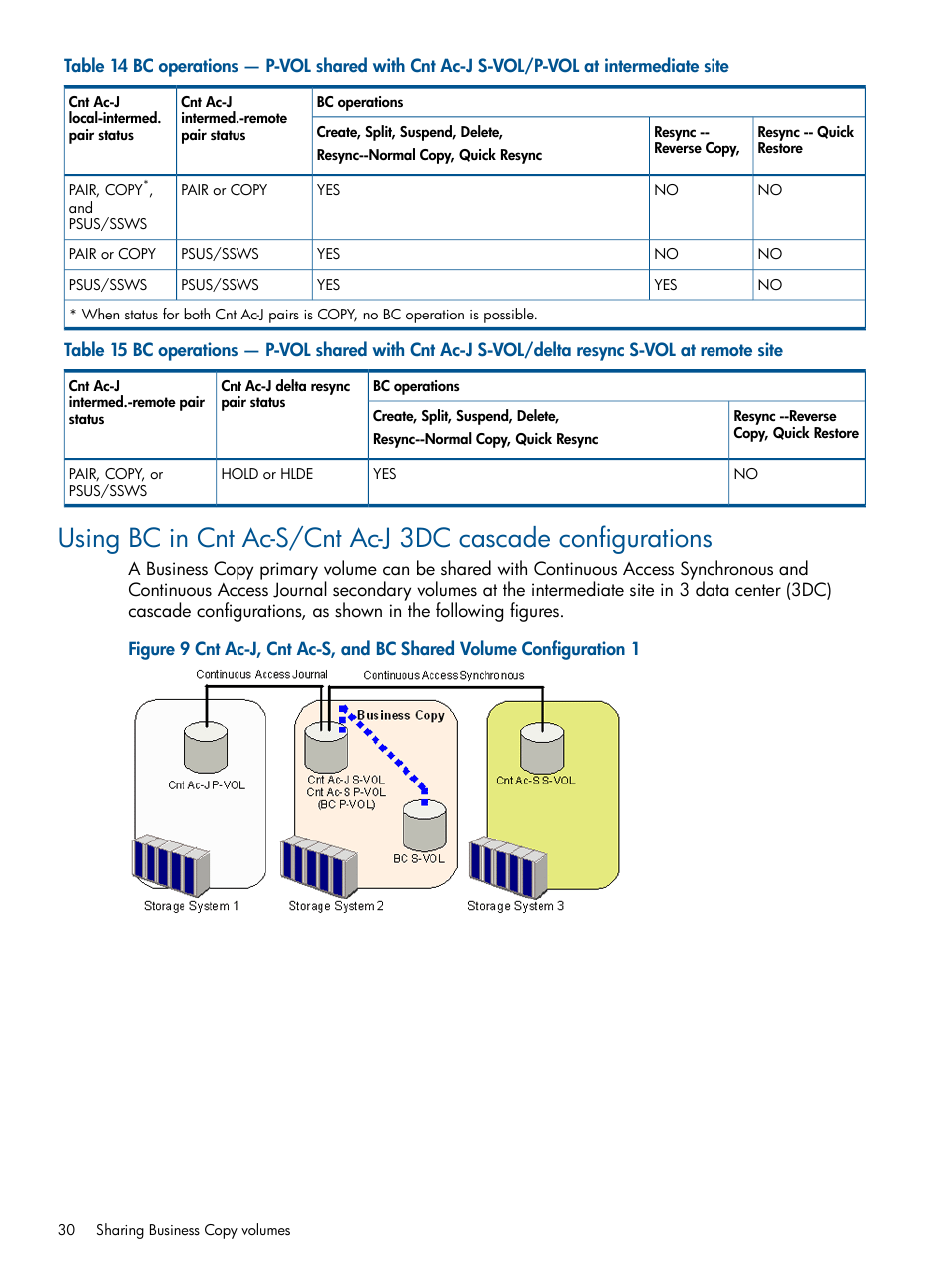 HP XP P9500 Storage User Manual | Page 30 / 132