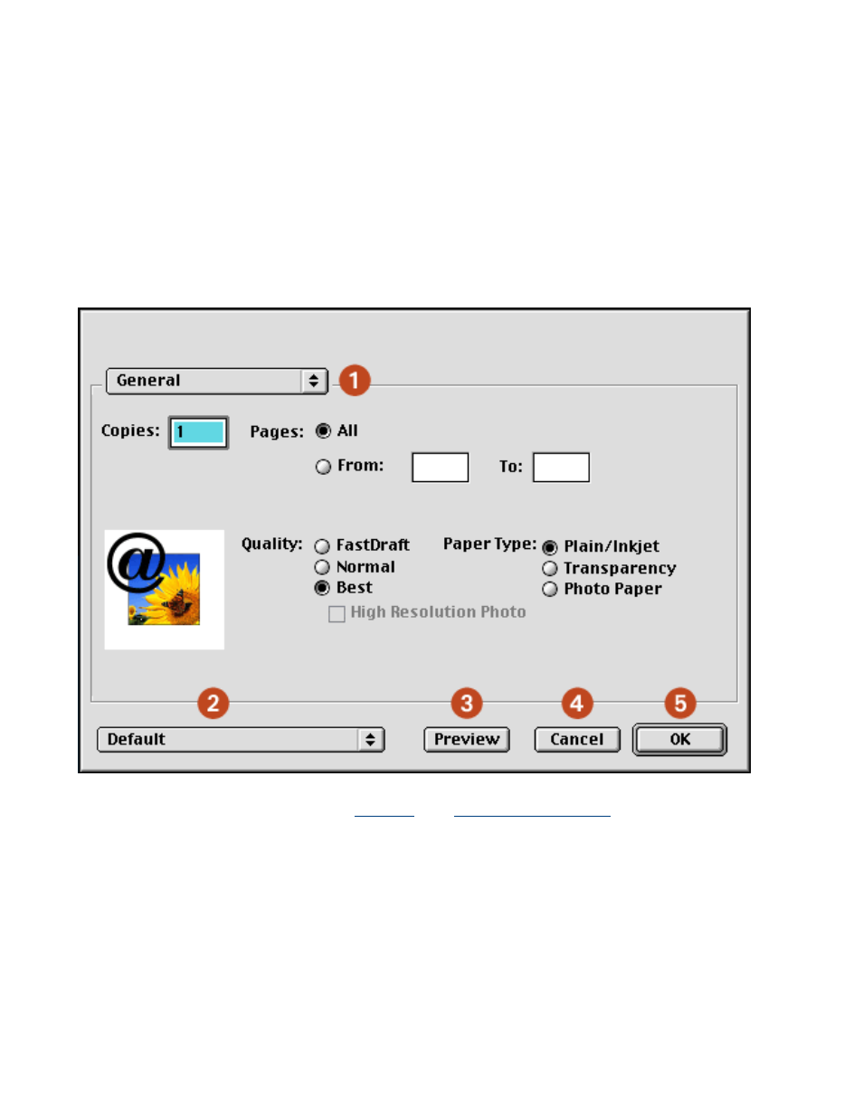 Using the print dialog box | HP Deskjet 3420 Color Inkjet Printer User Manual | Page 21 / 100