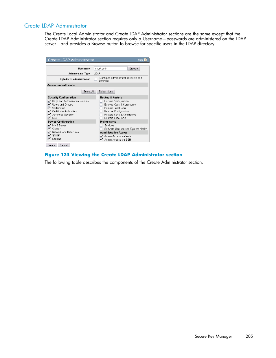 Create ldap administrator, 124 viewing the create ldap administrator section | HP Secure Key Manager User Manual | Page 205 / 327