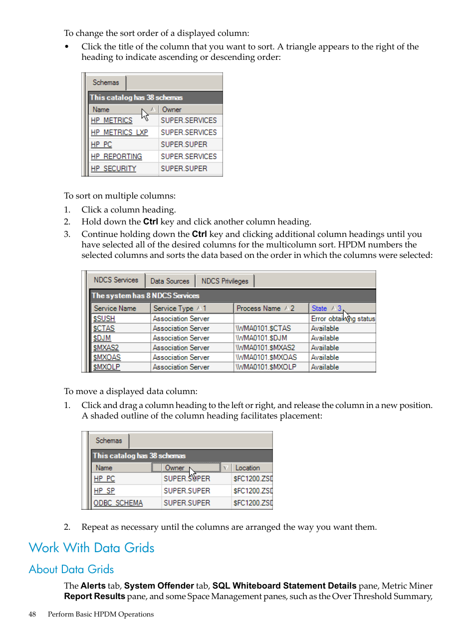 Work with data grids, About data grids | HP Neoview Release 2.5 Software User Manual | Page 48 / 284