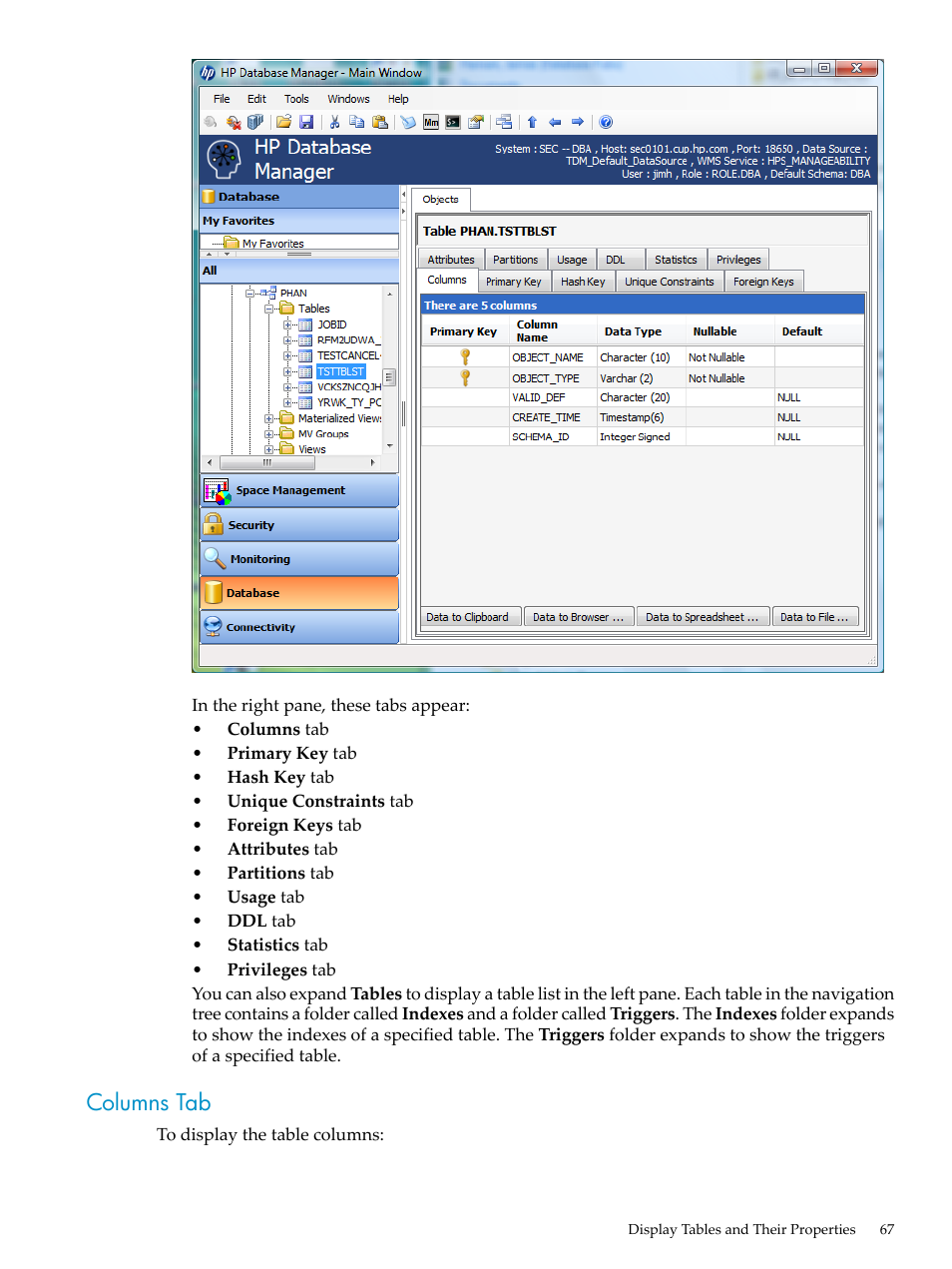 Columns tab | HP Neoview Release 2.5 Software User Manual | Page 67 / 284