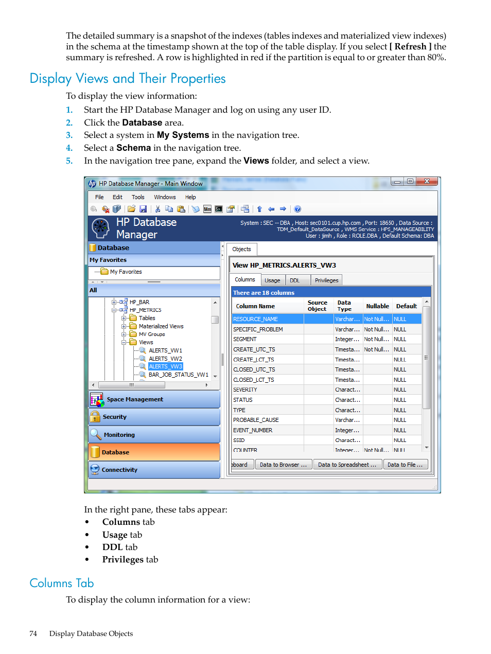 Display views and their properties, Columns tab | HP Neoview Release 2.5 Software User Manual | Page 74 / 284