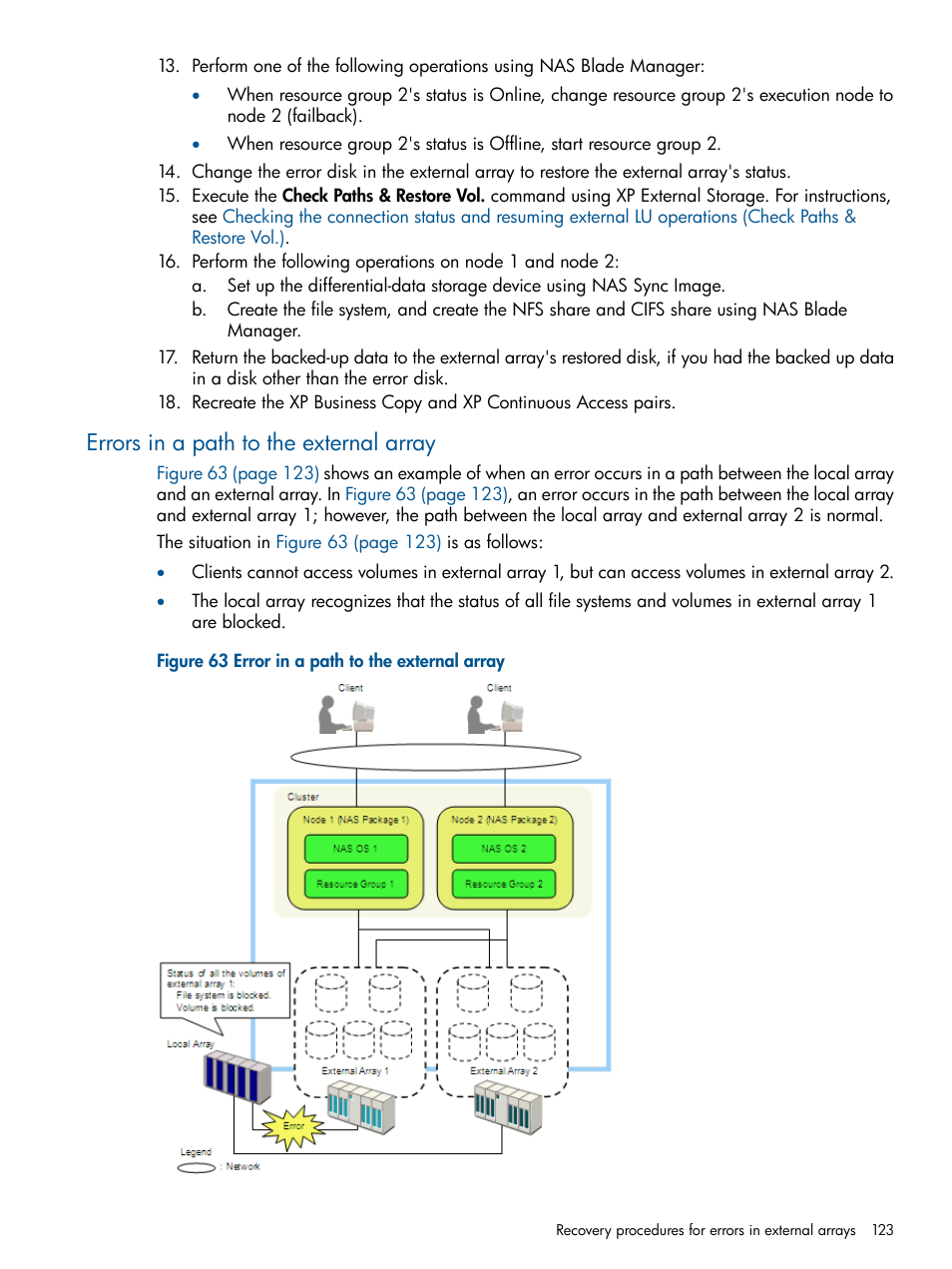 Errors in a path to the external array | HP StorageWorks XP Remote Web Console Software User Manual | Page 123 / 169